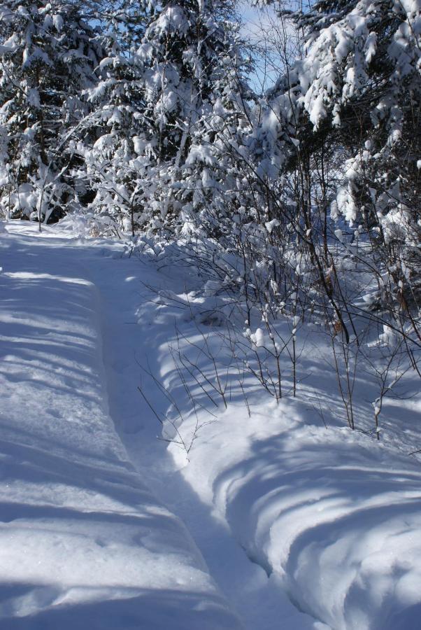 Mattawa Top Of Algonquin Bed And Breakfast מראה חיצוני תמונה