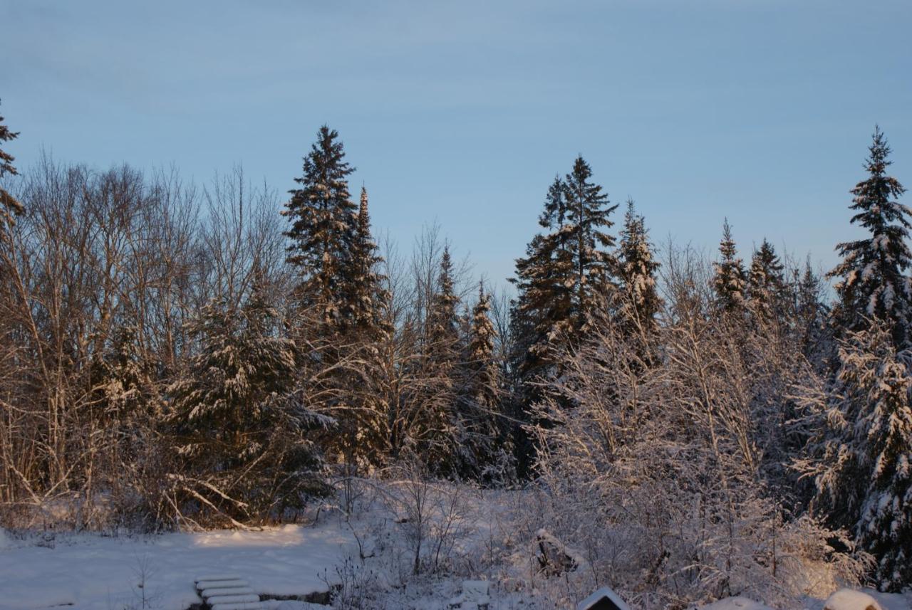 Mattawa Top Of Algonquin Bed And Breakfast מראה חיצוני תמונה